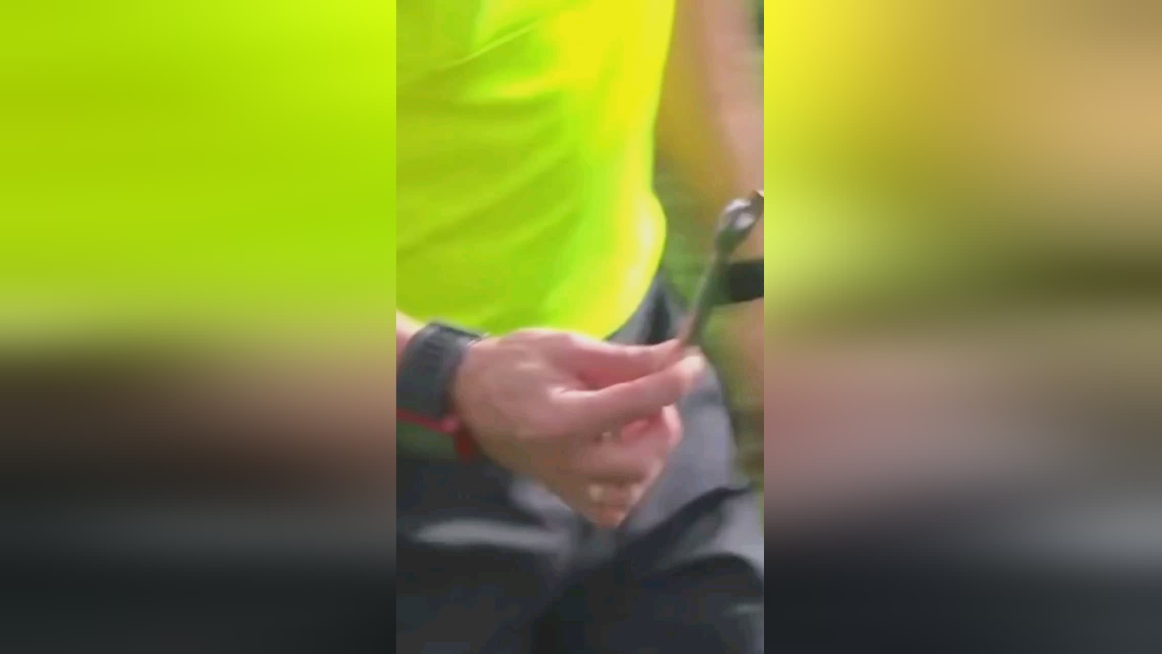 整体